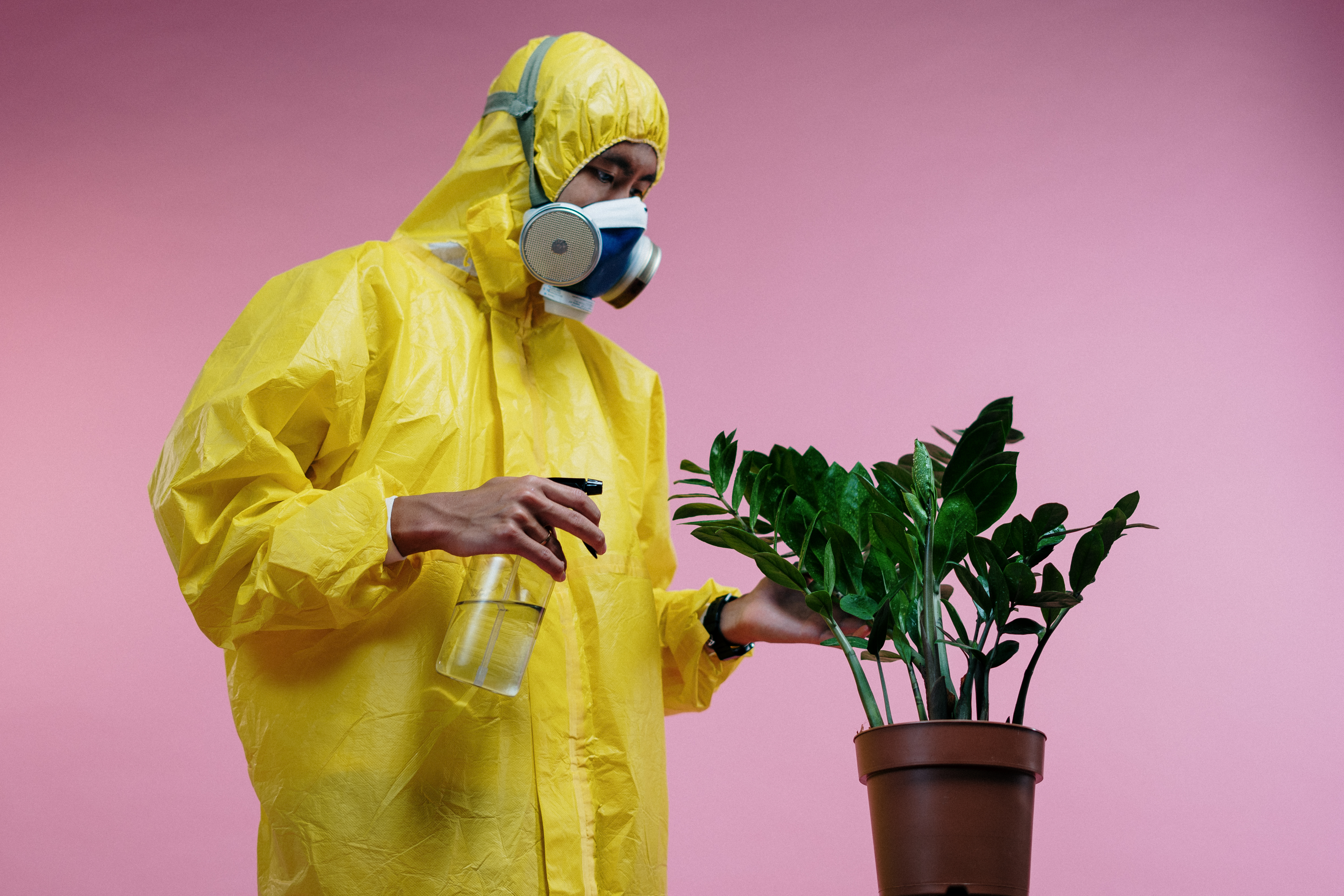 Canva - Person in Yellow Coveralls Spraying Plant